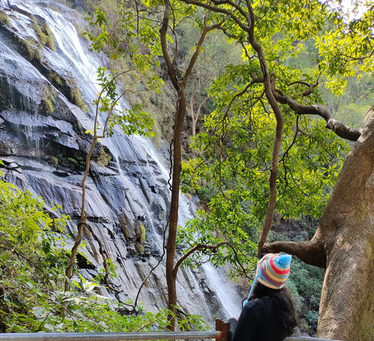 Reference, or Conditioning?